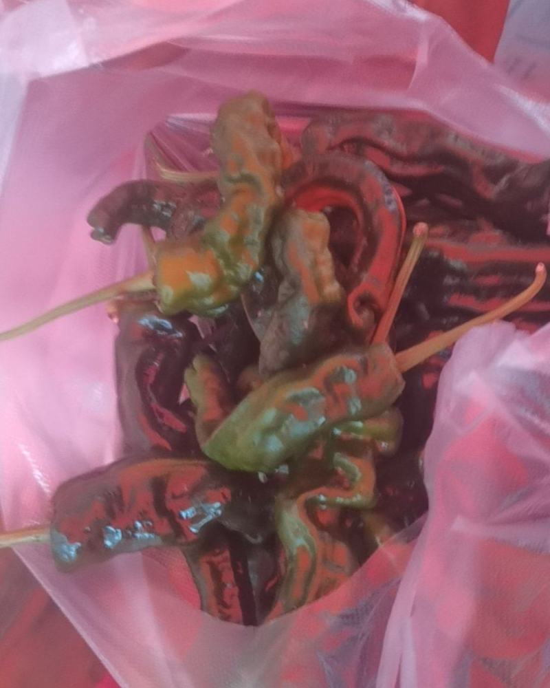辣椒