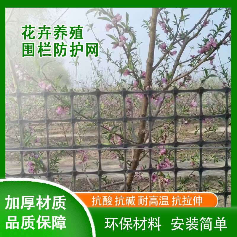 养殖网玉米网