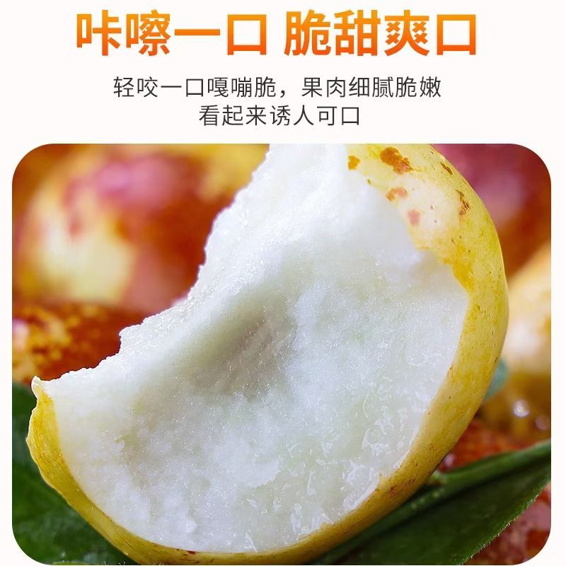 大荔冬枣，一件代发