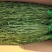 精品贡菜干菜