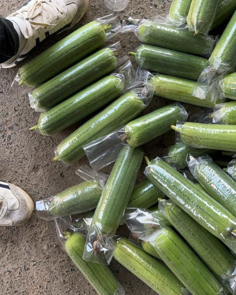 广西水瓜大量有货