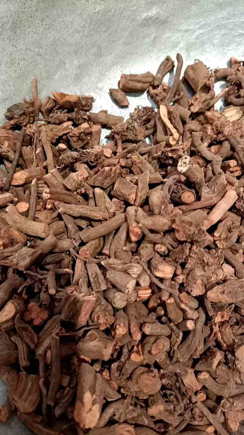 茜草