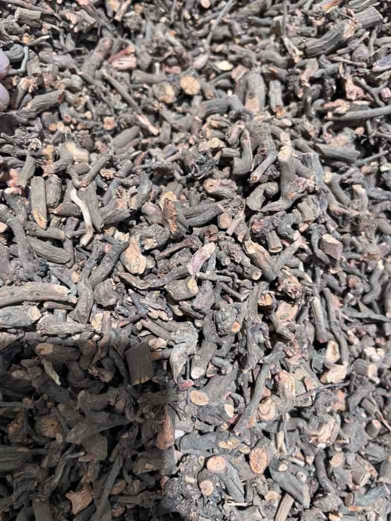 茜草