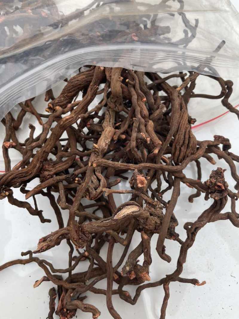 茜草