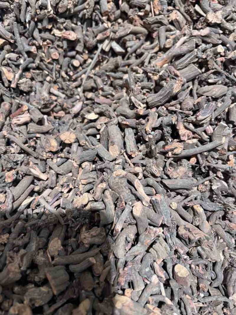 茜草