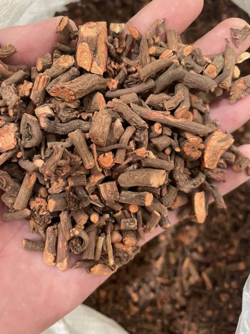 茜草