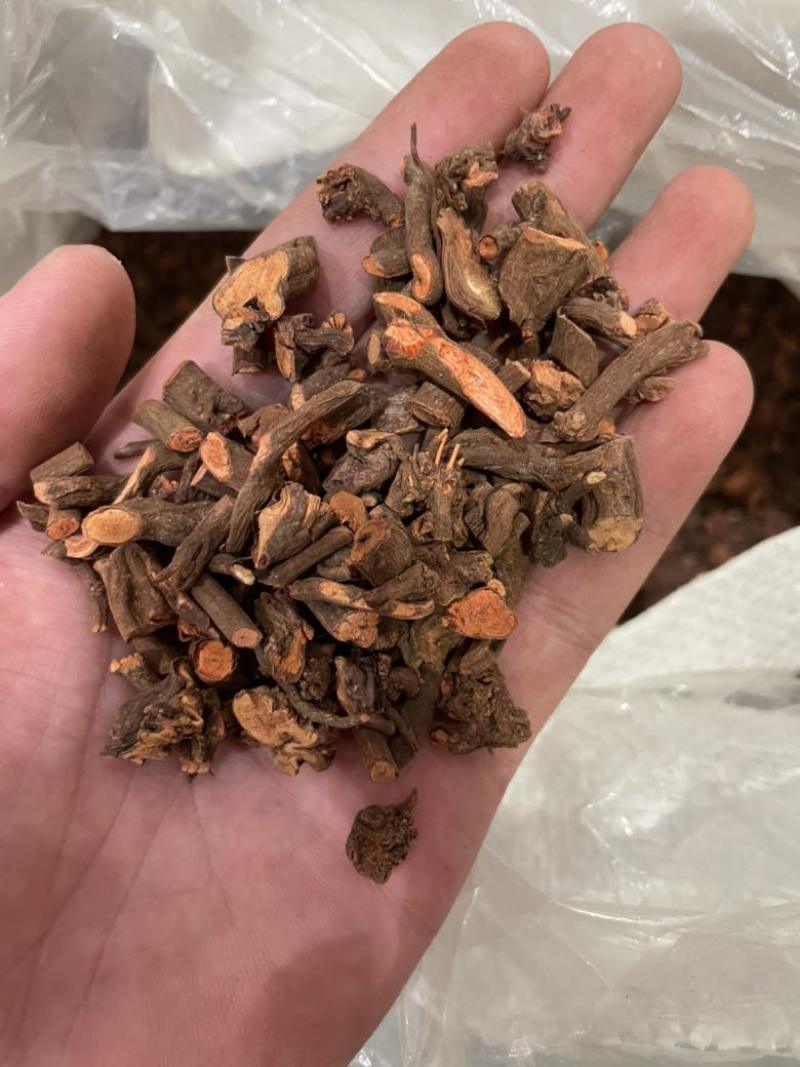 茜草