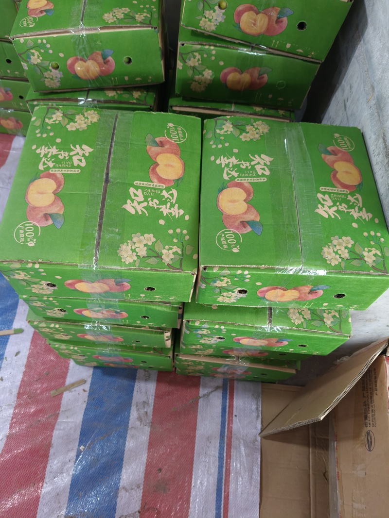 一件代发，对接各大平台。