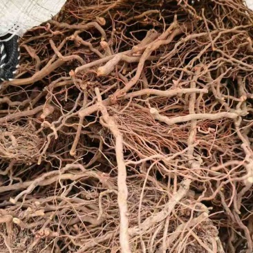 茜草个字，段，片子各种规格都有
