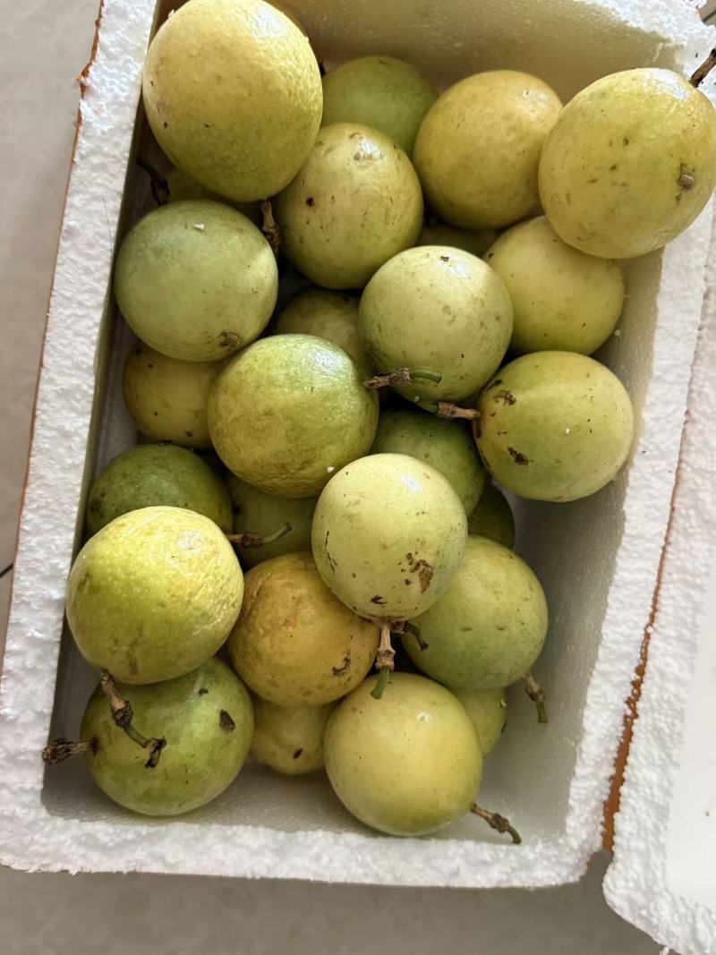 黄金百香果