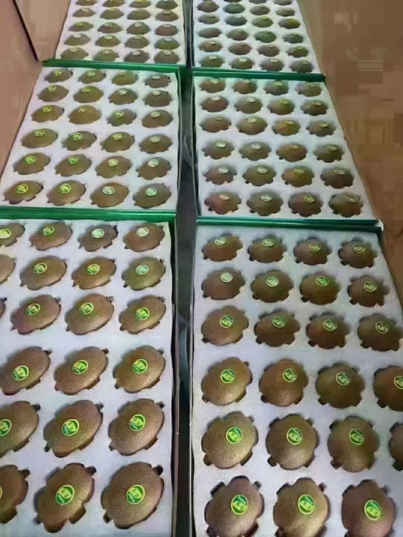周至县翠香猕猴桃