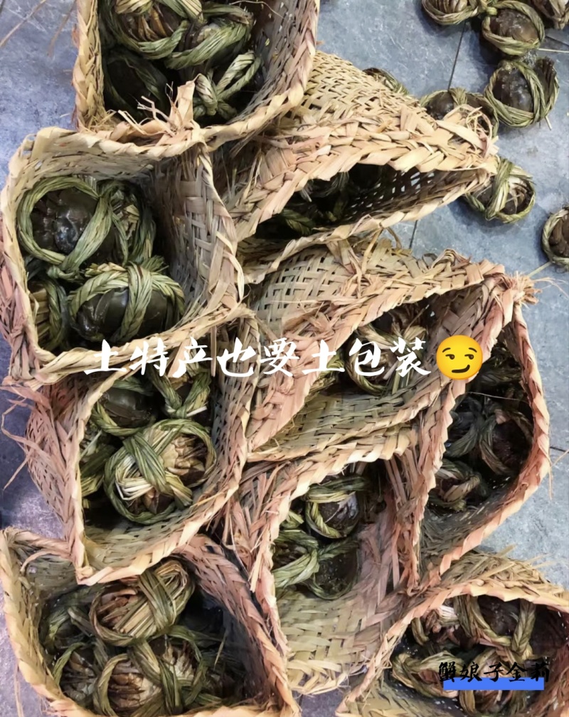 13元起50斤批发