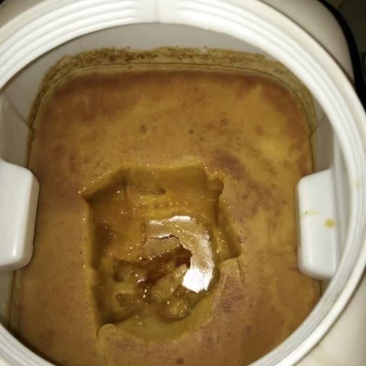 正宗土蜂蜜，自家养的，大概有200斤左右