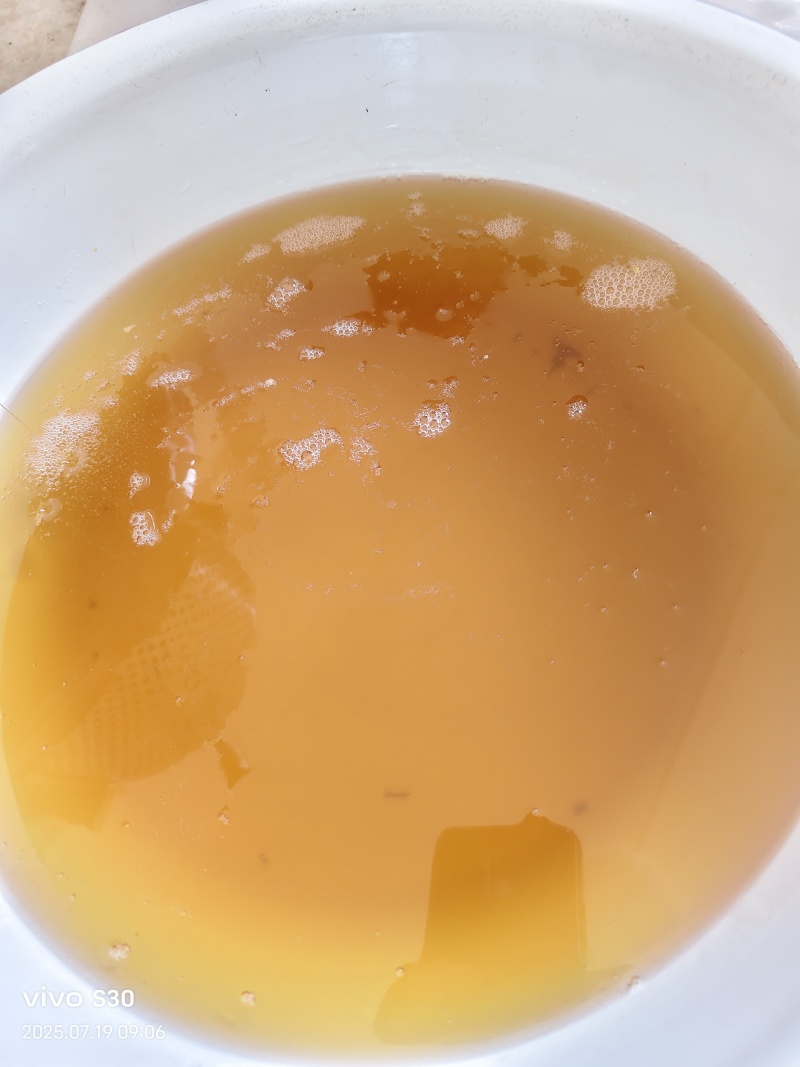 土蜂蜜