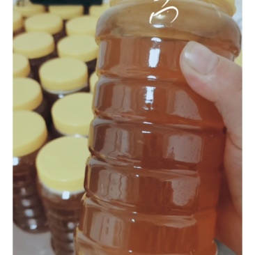深山老林***野生百花蜜，一年只取一次圆桶蜂蜜，