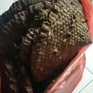 马蜂窝