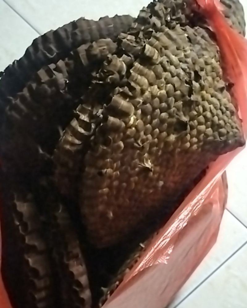 马蜂窝