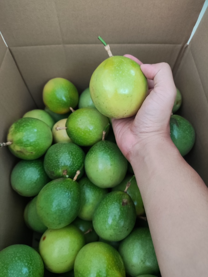 广西百色市那坡县黄金百香果