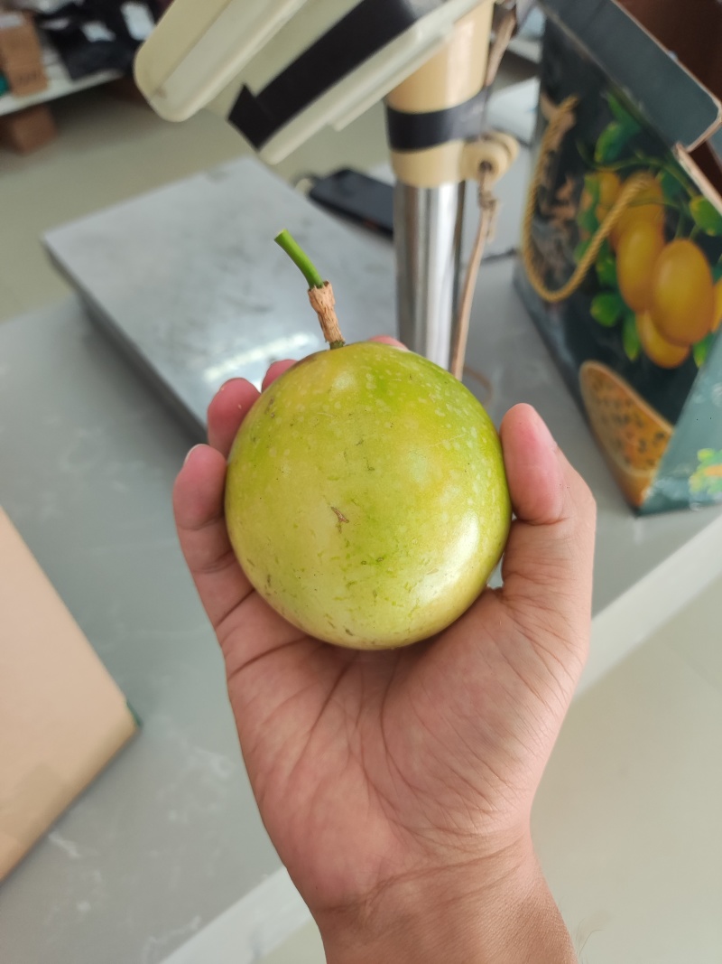 广西百色市那坡县黄金百香果