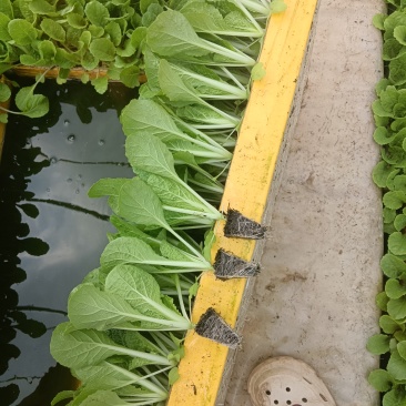 质量保证，量大从优