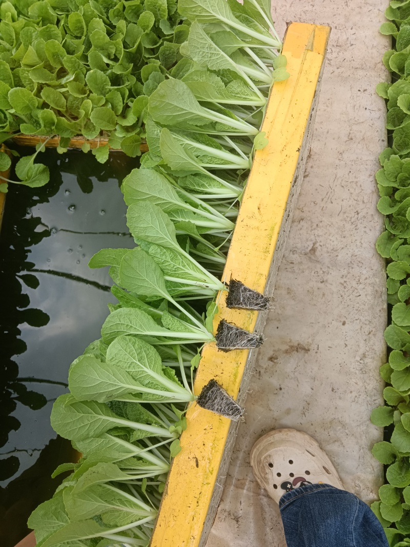 质量保证，量大从优