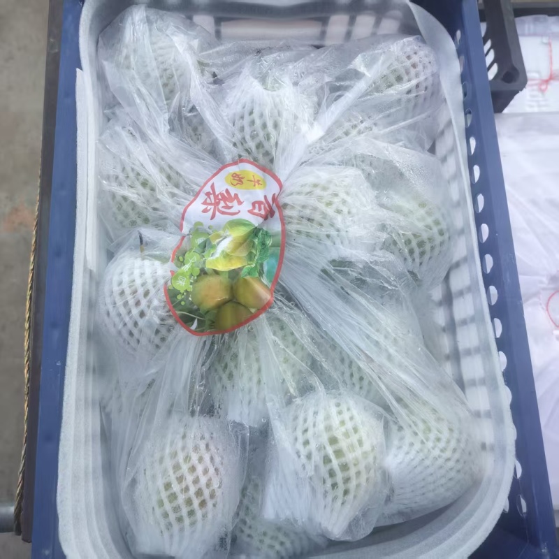 牛奶香梨，芙蓉香梨
