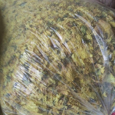 黄蜀葵产地，大量烘干精品黄蜀葵成品花