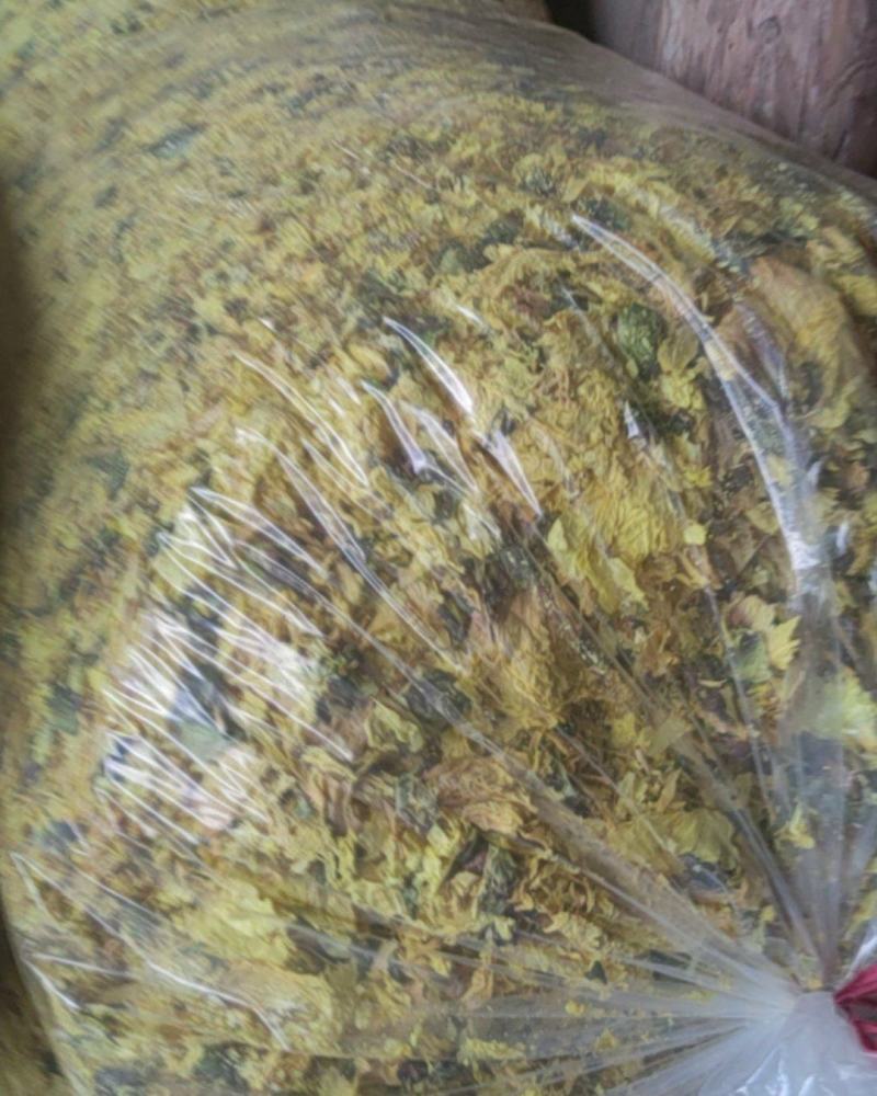黄蜀葵产地，大量烘干精品黄蜀葵成品花