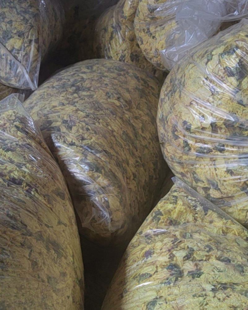 黄蜀葵产地，大量烘干精品黄蜀葵成品花