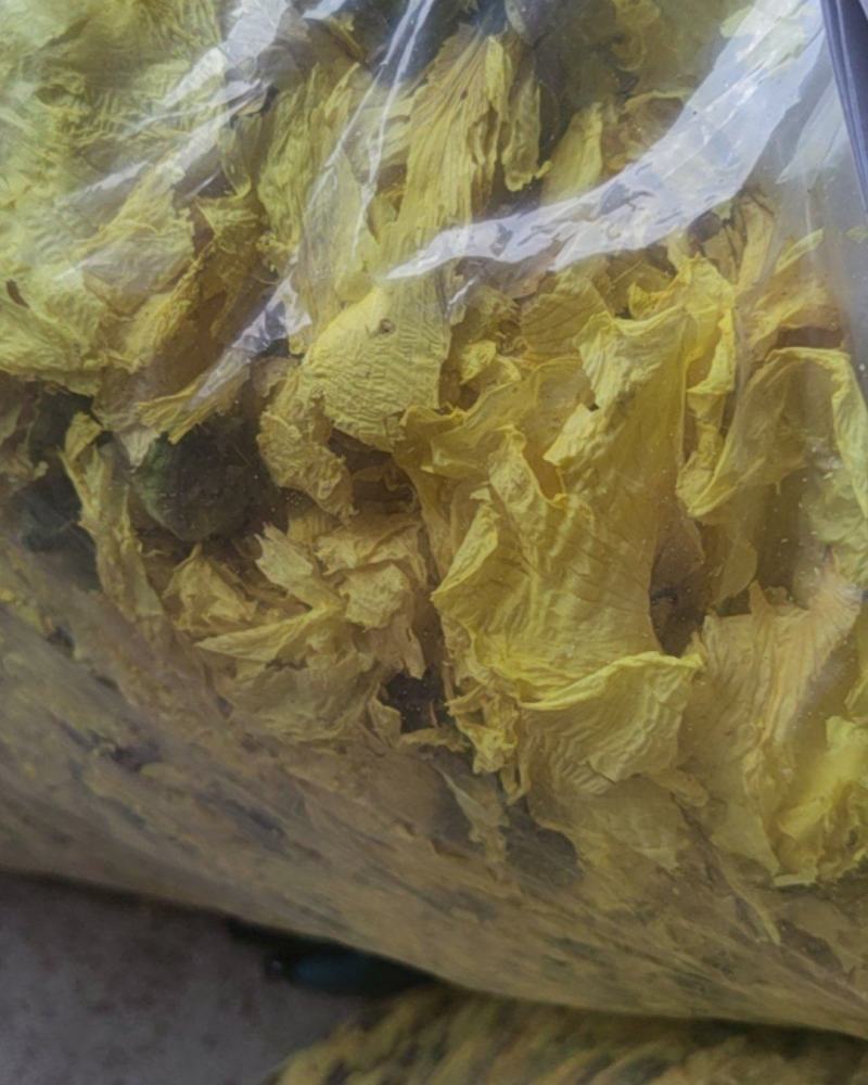 黄蜀葵产地，大量烘干精品黄蜀葵成品花