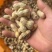 榨油养殖饲料次品嫩米花生油料花生养殖场饲料花生干花生