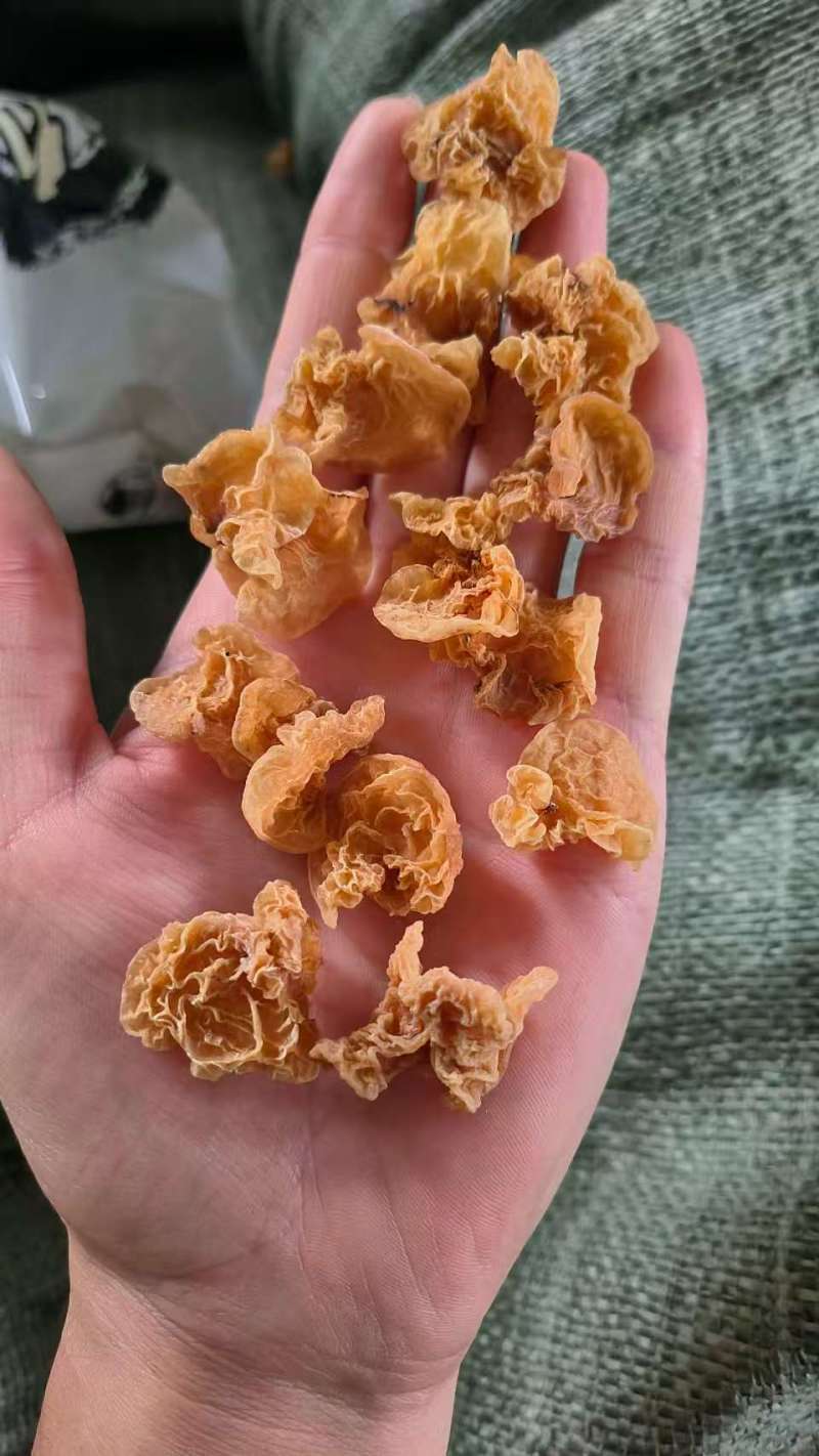 小碗羊肚耳◆**供应有现货欢迎咨询