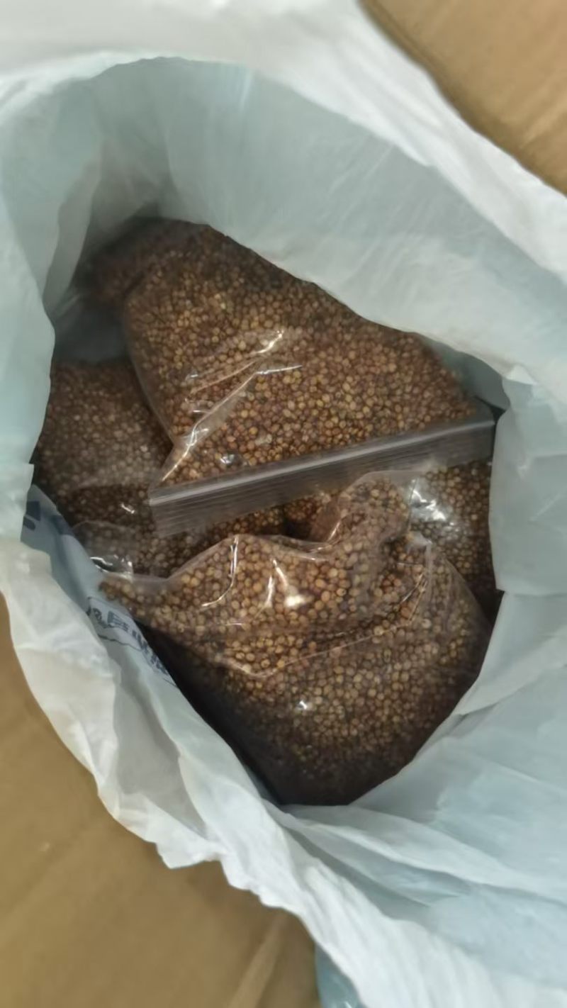 红缨子高粱600-800吨9月底出
