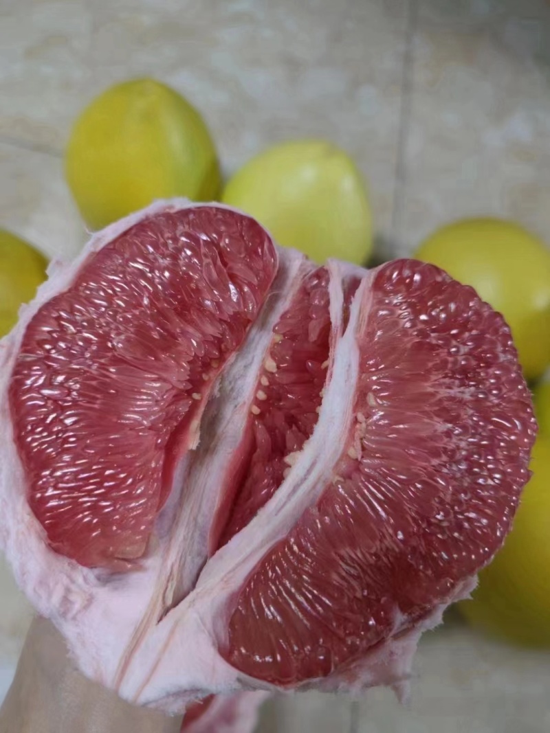 梅州大埔红肉蜜柚、三红蜜柚
