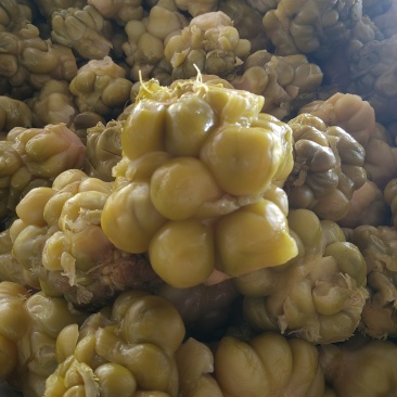 榨菜丝20斤一箱