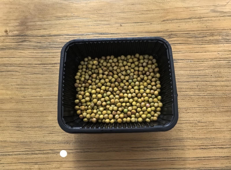 麻豌豆＝加拿大一号