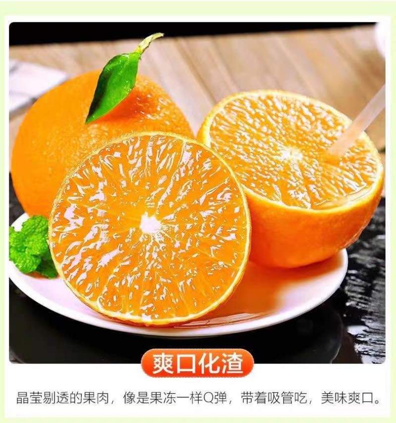 四川爱媛38号果冻橙细皮整车批发一件代发