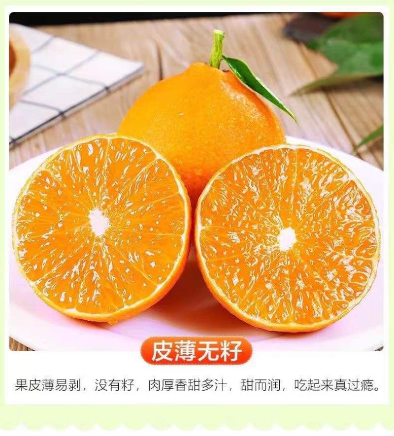 四川爱媛38号果冻橙细皮整车批发一件代发