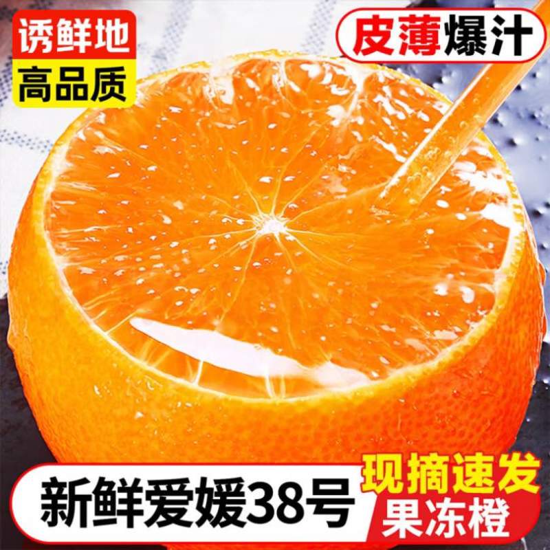 四川爱媛38号果冻橙细皮整车批发一件代发