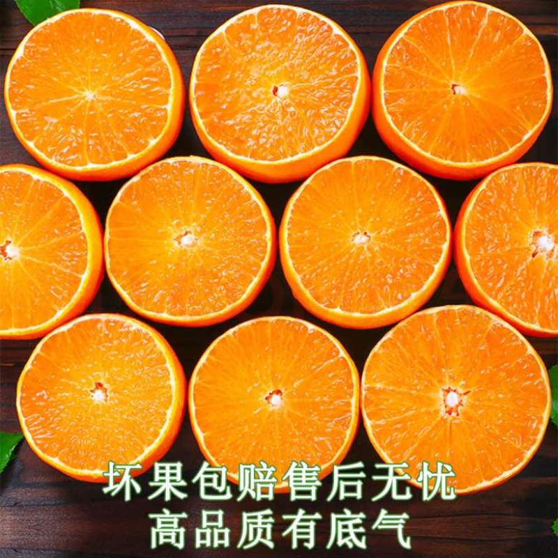 四川爱媛38号果冻橙细皮整车批发一件代发