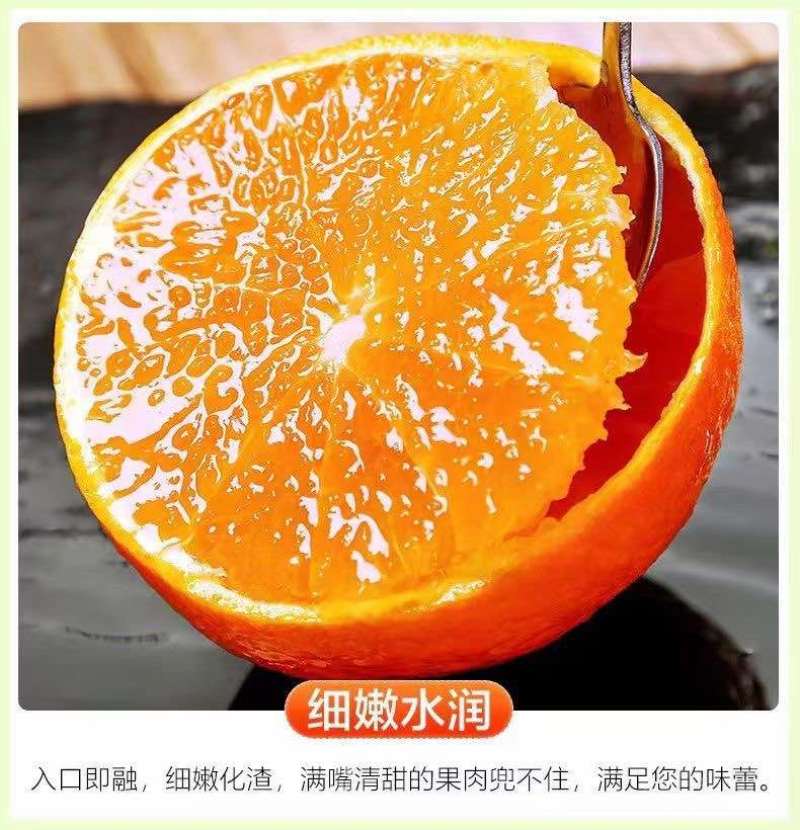 四川爱媛38号果冻橙细皮整车批发一件代发