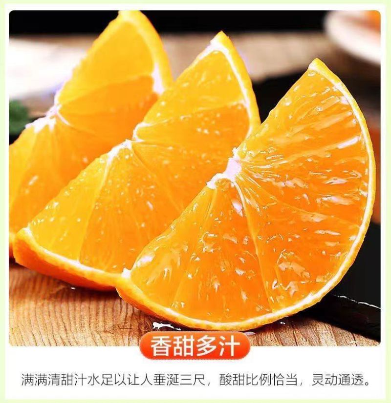 四川爱媛38号果冻橙细皮整车批发一件代发