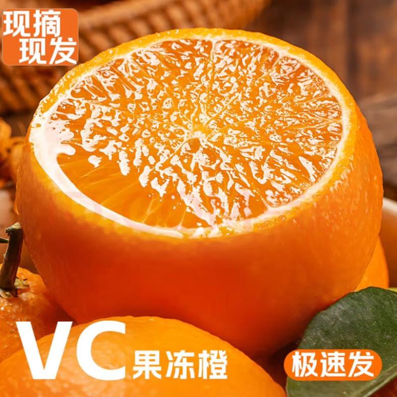 四川爱媛38号果冻橙细皮整车批发一件代发