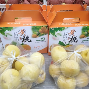 齐鲁黄金2号，也叫国庆黄桃