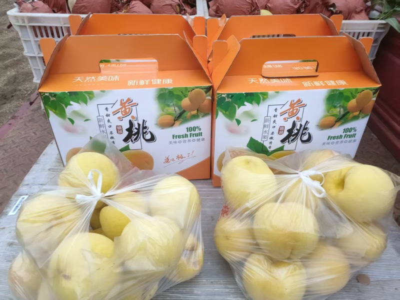 齐鲁黄金2号，也叫国庆黄桃