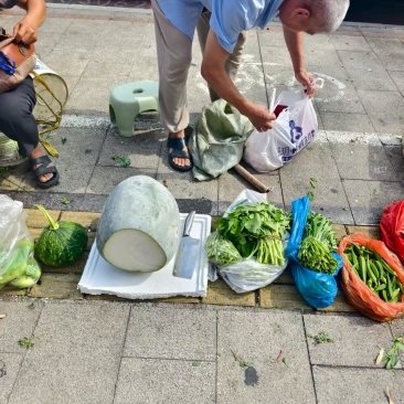 自家产的冬瓜