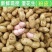 鲜花生【支持线上交易】电商，市场，商标产地直供