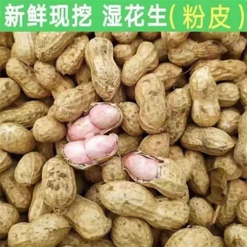 鲜花生【支持线上交易】电商，市场，商标产地直供