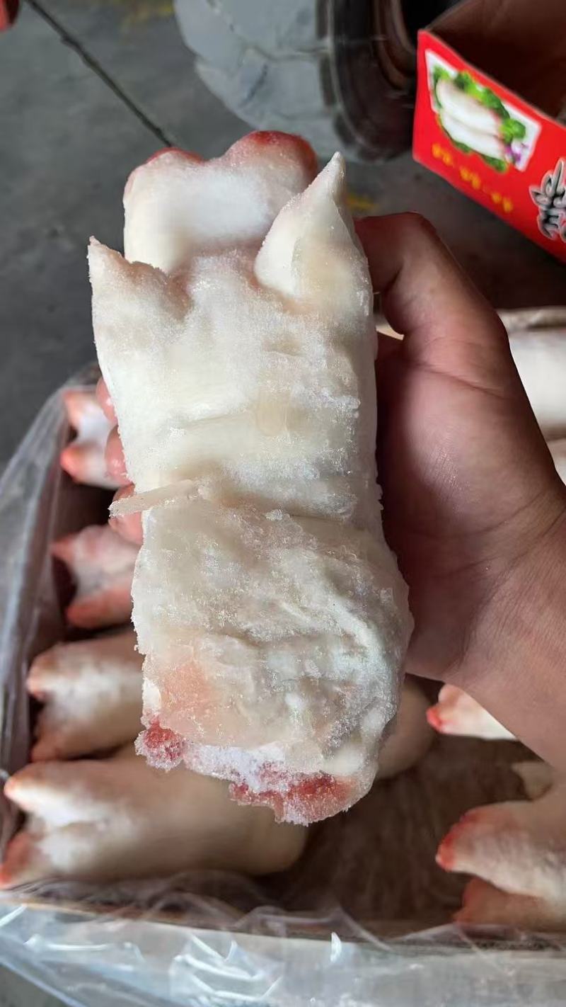 带筋猪蹄
