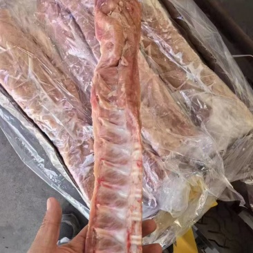 小龙骨